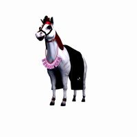 Indian Wedding Horse