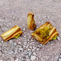 Fire Wood Chunk