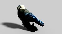 perched bird