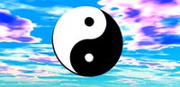 Yin and Yang w/ Materials