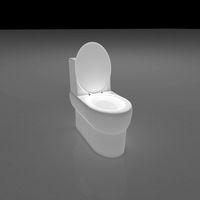 Flush