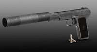 Soviet Gun With Silencer TT-33