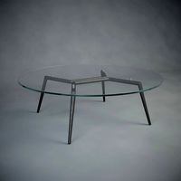 "Pond Skater" coffee table