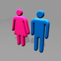 Male & Female