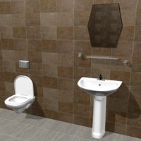 Bathroom Scene
