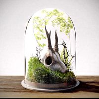 Skull in Flask
