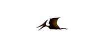 Pterodactyl