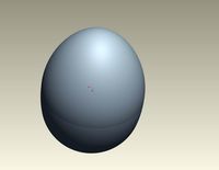 Chicken egg