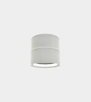 Adjustable ceiling spot light