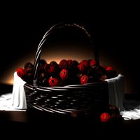 fruit and vegetable x5