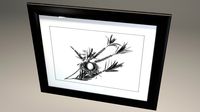 Graphic Nest II