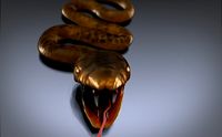 Snake by Swp