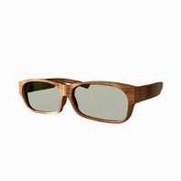 Eyeglasses Style B
