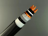 Power cable