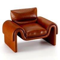 Vintage De Sede LeatherArmchair