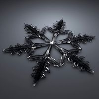 Snowflake