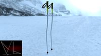 Ski poles