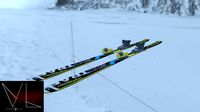 Mountain ski(1)