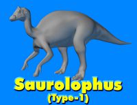 Saurolophus (Type-1) Dinosaur