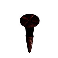 Old screw