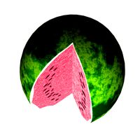 Watermelon