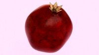 Pomegranate photorealistic
