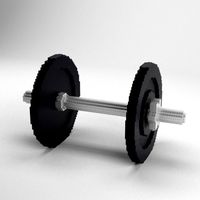 Voxel Dumbbells