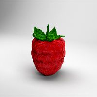 Voxel Raspberry
