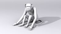 3d Monkey