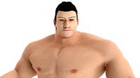 Human Male Tough Fighter rigged and ready for animations