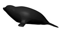 Seal Lying on Surface