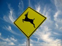 Deer Crossing Road Sign
