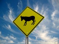 Burro Crossing Road Sign