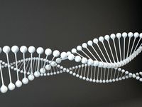 DNA