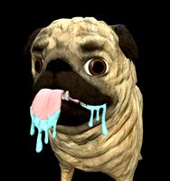 Pug Dog - Low Poly - Rigged - Animated