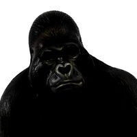 Figurine Gorilla