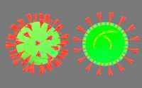 Coronavirus