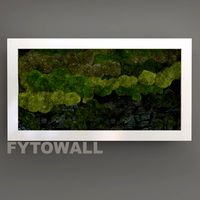 FYTOWALL moss and stone 3D Model