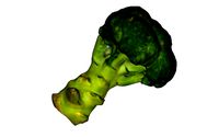 Half Broccoli