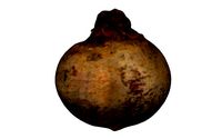 Beet