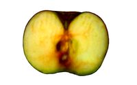 Half Apple