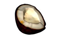 Half Coconut