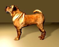 dog