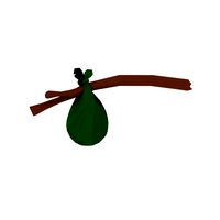 Tree branch with cloth
