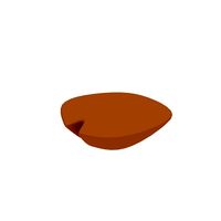 Cartoon mushroom