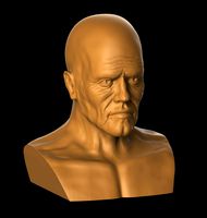 Old Male Head