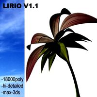 LIRIO V1.1