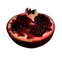 Pomegranate Slice 01