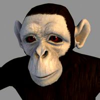 Monkey - Textured - FBX