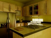 Kitchen Scene